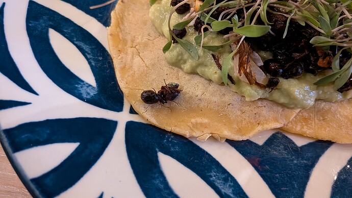 PXL_20251012_022603821.MP