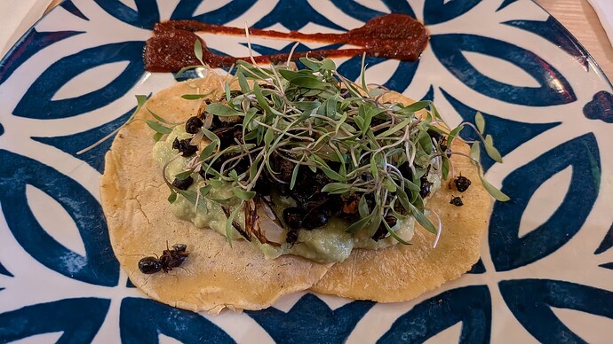 PXL_20251012_022606810.MP