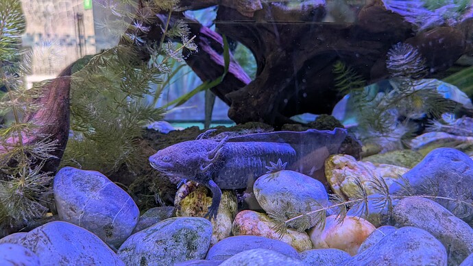 PXL_20251016_181947136.MP